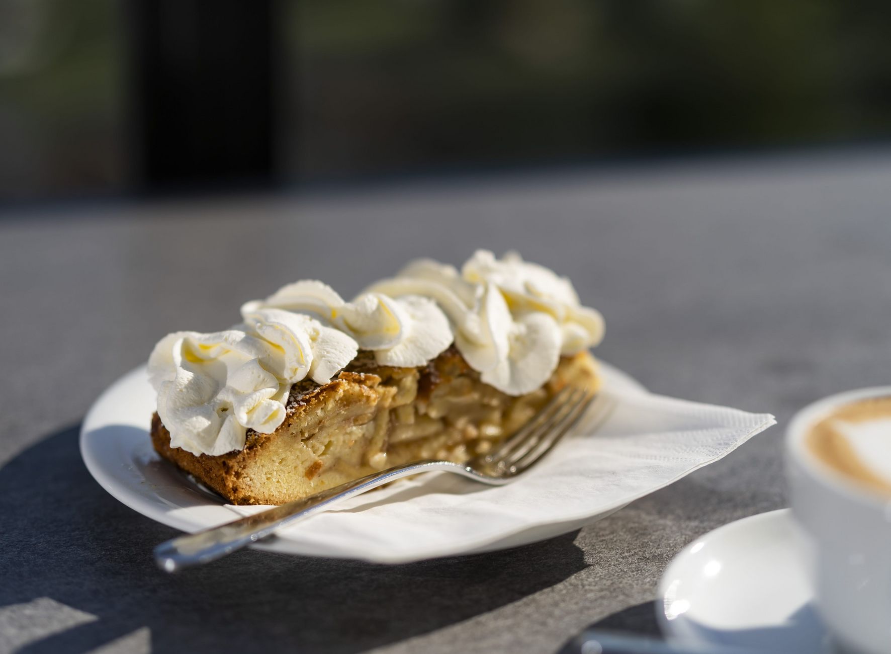 Piacere strudel di mele fatto in casa panna caffè pomeriggio Hotel Lechner Tirolo