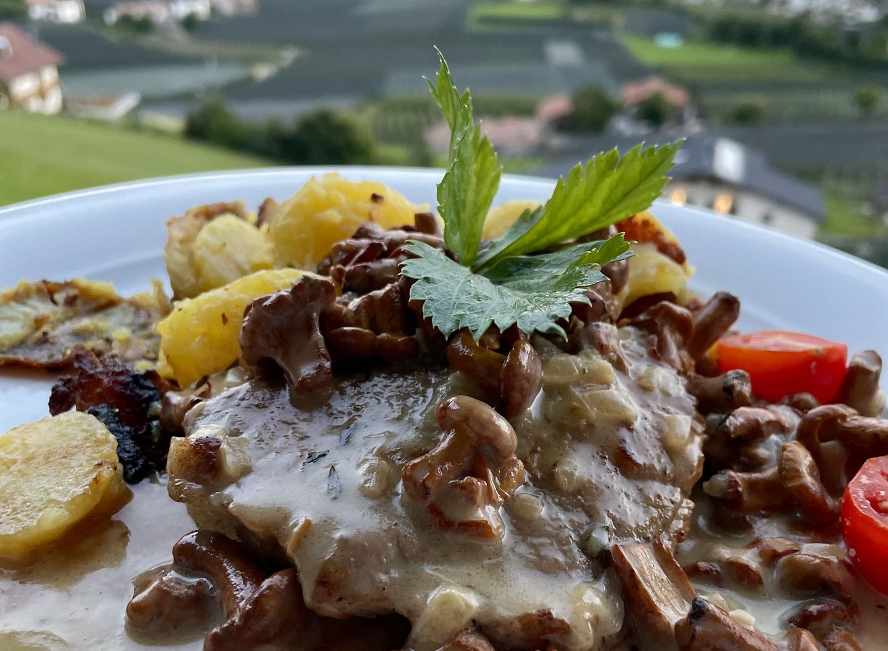 Cena Hotel Lechner piatti deliziosi